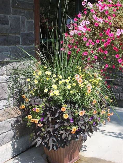 Lovely Combination Planting Container Gardening Ideas 11