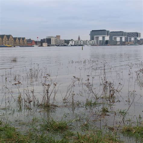 Mehrere häuser in erftstadt eingestürzt. Köln: Rhein-Pegel steigt, zum Wochenende Hochwasser ...