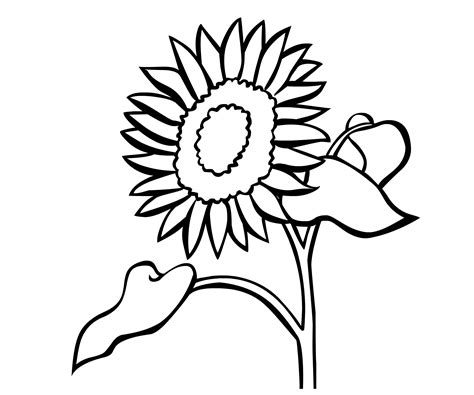いやわざとこんなふうに描いているの？ bl描き慣れたセンセ方の性器だと白ワクや、塗りつぶしで全く見えない。 だから、性器はそんなに塗りつぶしはありません。 4巻でた〜 やはり私だけではないでしょう。 ひまわりのイラスト 白黒 - 無料イラスト画像