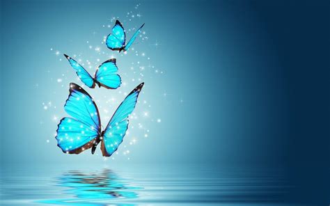 Blue Butterfly Wallpapers Top Free Blue Butterfly Backgrounds