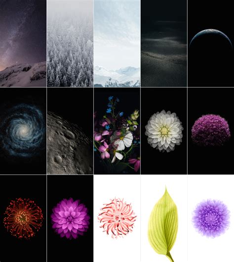 Iphone 6 All New Ios 8 Wallpapers Available For Download Ibtimes Uk