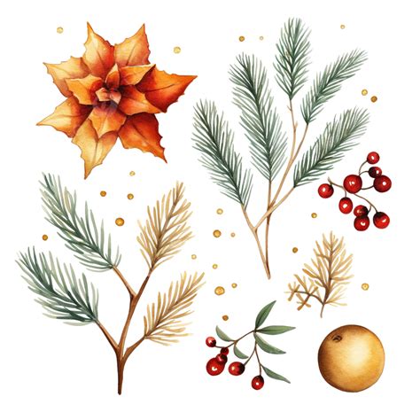 Christmas Set With Gold Watercolor Illustration Gold Star Red