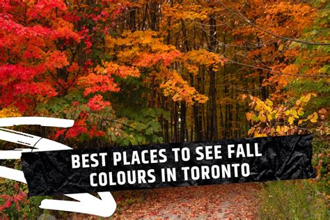 The 8 Best Places To View Fall Colours In Toronto 2023