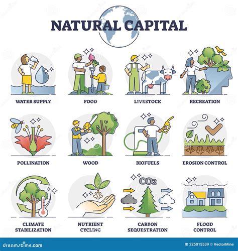 Natural Capital As Environmental Resources And Assets Outline