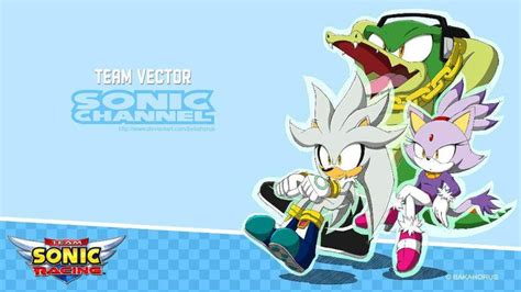 Image Result For Team Vector Sonic Silver The Hedgehog Sonic Fan Art