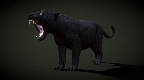 Black Jaguar Buy Royalty Free 3d Model By Exmoor Beast Exmoorbeast