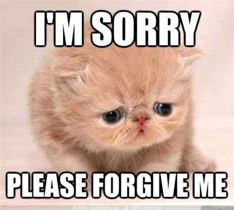 Im Sorry Please Forgive Me And 10 More Purrfect Im Sorry Memes