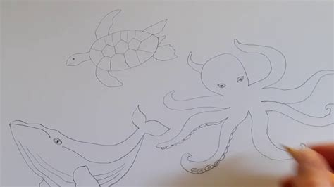 How To Draw Sea Creatures YouTube