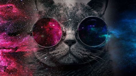 We've gathered more than 5 million images uploaded by our users and sorted them by the most popular ones. Glasses Cat Galaxy Wallpapers - Top Free Glasses Cat ...