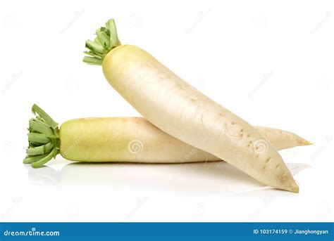 Daikon White Radish Stock Image Image Of Salad Organic