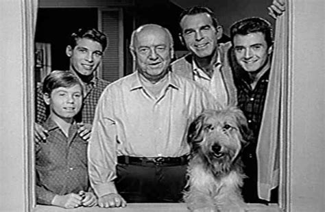 My 3 Sons My Three Sons Old Tv Shows Old Movies