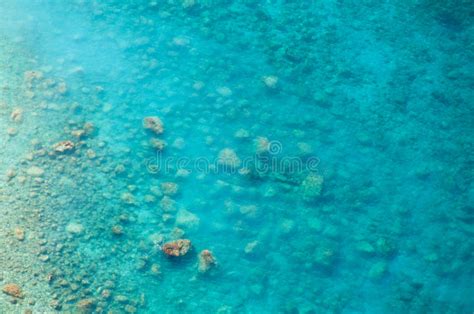Clean Clear Sea Top View Of The Water And Seabed Stock Photo Image