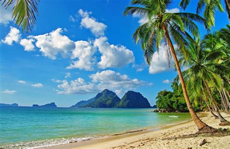 Nature Mountains The Ocean Beach Tropics Palm Trees Stones The Sky Clouds Paradise Stay Resort