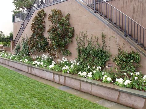 View listing photos, review sales history, and use our detailed real estate filters to find the perfect place. Give your Garden the Gift of Espalier Trellis