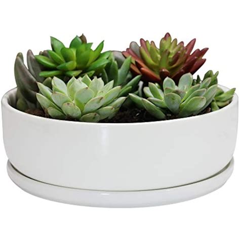 8 Inch White Round Ceramic Succulent Planter Pot Modern Flower Cactus