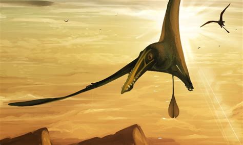 Pterodactyl Size Size When Size Matters