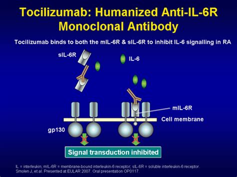 The higher order structure was found to be indistinguishable from originator tocilizumab. Understanding New Therapies for Treating RA (Slides With ...