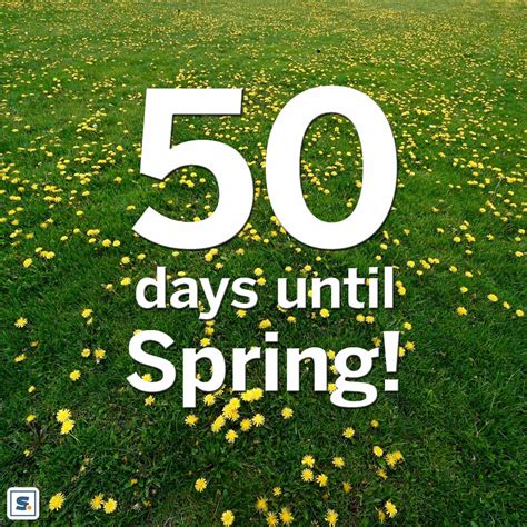 Count the days until 🌼 spring 🌼 with our free countdown timer. Only 50 days until the first day of spring! - scoopnest.com