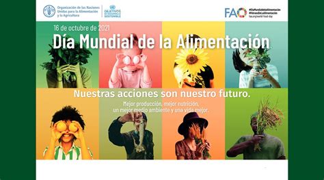 Día Mundial De La Alimentación 2023 Aevae