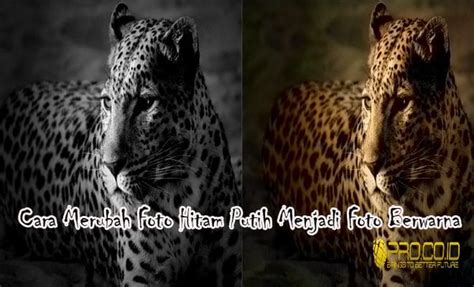 Zubaidi ali 1965 1967 6 moehadi s.h. Cara Merubah Foto Hitam Putih Jadi Foto Berwarna, Mudah Tanpa Aplikasi! - Pro.Co.Id