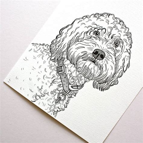 personalised pet portrait line drawings by adam regester art and