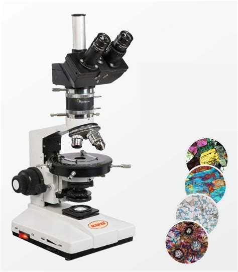 Almicro Pm 12 Trinocular Polarising Microscope At Best Price In Ambala