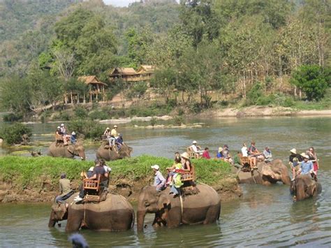 All Lao Elephant Camp Luang Prabang Updated 2021 All You Need To
