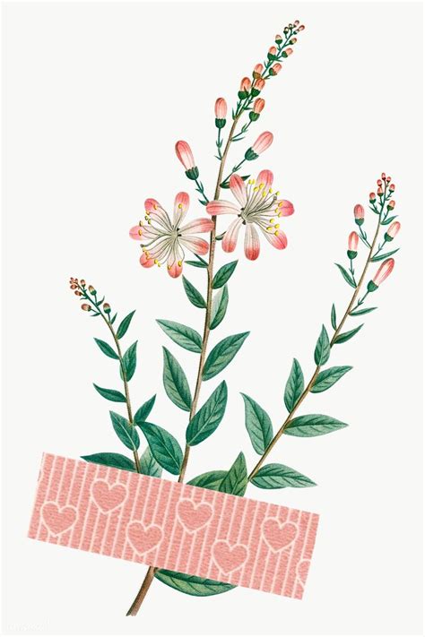 Flower With A Pink Washi Tape Design Element Transparent Png Premium