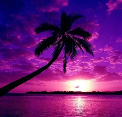 Stunning Purple Sunset Purple Sky Beautiful Nature