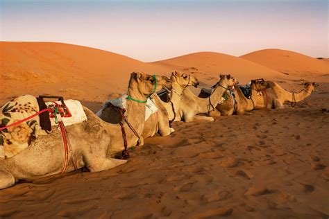 Oman Itinerary Arabian Desert Explorer Native Eye Travel