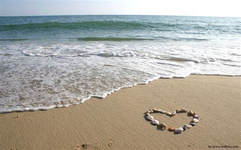 The Beach Love Shell Around A Heart Shaped Wallp Wallpapers Sea