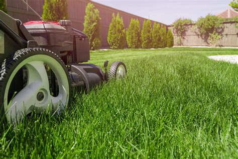 Lawn Care Companies Hiring What Makes Us Different
