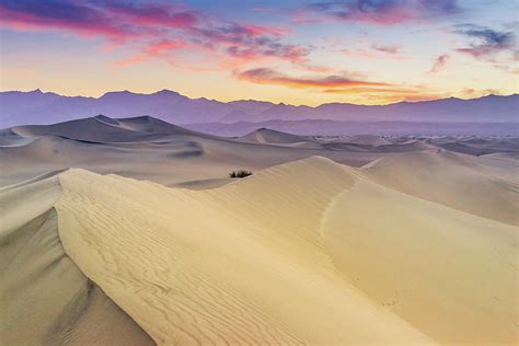 Mesquite Flat Sand Dunes Photograph By Zx1106 Fine Art America