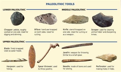 Stone Age Paleolithic Tools 🗿⚒️🔨🛠️ Early Humans Tools Early Humans