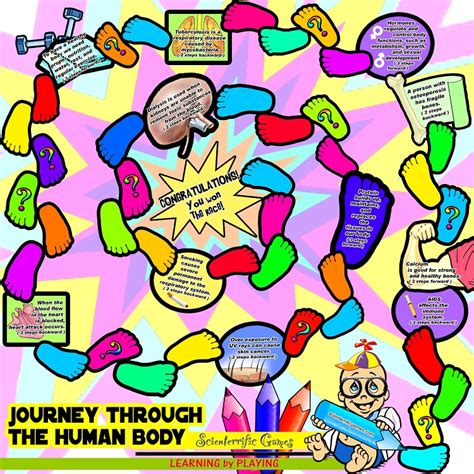 Body Systems Journey To The Human Body Board Game