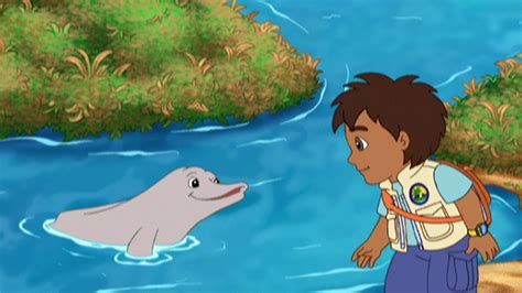 Watch Go Diego Go Season 2 Episode 1 Diego Saves Baby River Dolphin