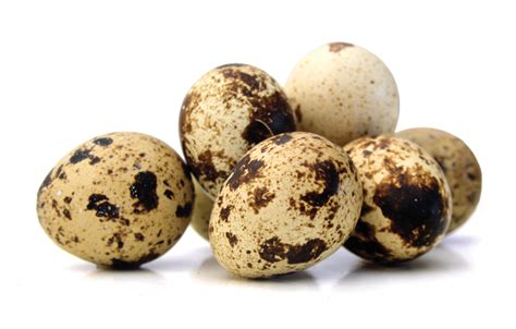 Allergy Relief from Quail Egg Powder - Vitamin Retailer Magazine