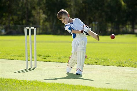 Boys Playing Cricket Stock Photos Pictures And Royalty Free Images Istock