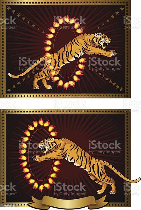 Tiger Leap Stock Illustration Download Image Now Animal Circus
