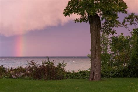 A Rainbow Over Lake Michigan Rose Clearfield