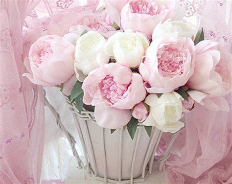 Pink Peonies Print Dreamy Peonies And Book Shabby Chic Decor Etsy Pink
