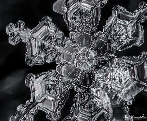 Macro-snowflake | Snowflake photography, Snowflakes, Snowflakes real