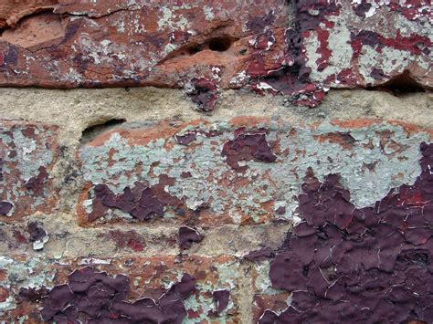 Peeling Paint Free Photo Download Freeimages