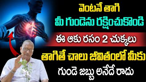 ఈ ఆకు రసం 2 చుక్కలు తాగితే చాలు జన్మలో మీకు గుండె జబ్బు అనేదే రాదు K