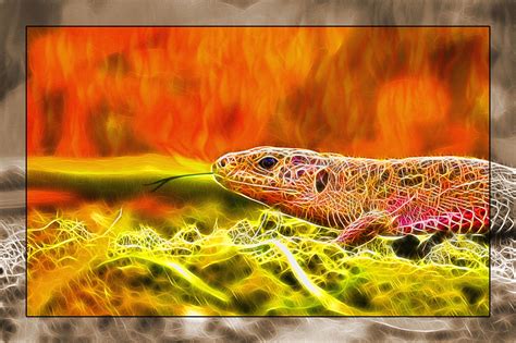 Evas Fire Lizard By Rhuggs On Deviantart