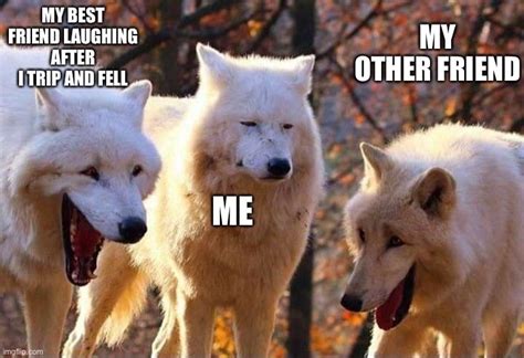 Funny Laughing Wolves Meme Meme By Aypax Memedroid