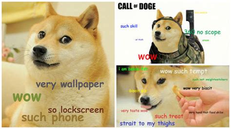 Get your free dogecoins now! A Brief History Of The Doge Meme