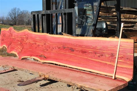 A red cedar table with live edge. 73-5-aromatic-red-cedar.jpg All kinds of logs, all sizes ...