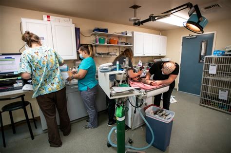 Photos: Inside the veterinary clinic at the Humane Society of Weld County - Greeley Tribune
