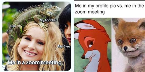 12 Zoom Memes That Describe Our Everyday Struggles Local Bahrain